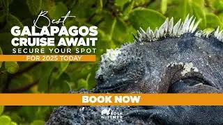 🌟 Experience the Best Galapagos Cruises for 2025! 🏝️ Secure Your Adventure Today 🌊