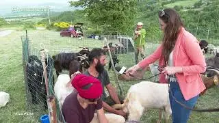 Pietrabbondante - Transumando con Valerio - Puntata 7764 - 03 - Viaggio in Molise - Telemolise