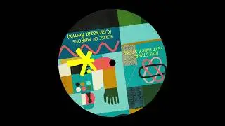 Riva Starr Feat. Harry Stone - House Of Mirrors (Crackazat Extended Remix) [Snatch! Records]