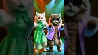 cat dancing 😍#funnyvideo #meowslovers #petlovers #petlovers #petsfunny #trendingshorts #catsforkids