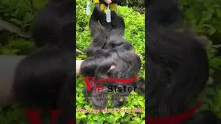 Raw hair Body Wave texture