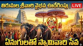 కలియుగ వైకుంఠం తిరుమలశ్రీ వెంకటేశ్వర స్వామి దివ్య దర్శనం🙏🙏