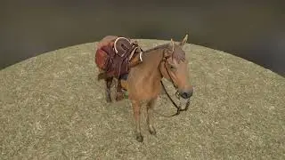 Alamo - Histovery - Hope Saddle