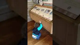 J can't find the wolf at the zoo