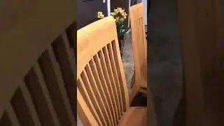 Dining Table, 6 Chairs, Table Accessories