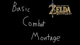 Basic Combat Montage - BOTW