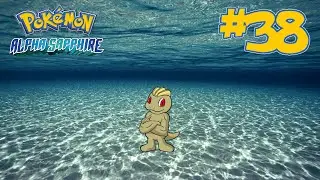 Pok&eacute;mon Alpha Sapphire - Shiny Hunting w/ Bradyoactiv - Machop (88 Hordes)