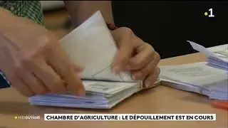Chambre d'agriculture le d&eacute;pouillement est en cours
