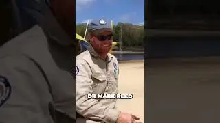 Unleashing the Secrets of the Ancient Crocodile Kingdom- Steve irwin