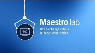 Maestro lab | How to change details in panel visualization