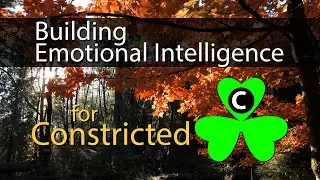 Building Emotional Intelligence for Constricted Affinity Personality Types on Tara&rsquo;s Triangle