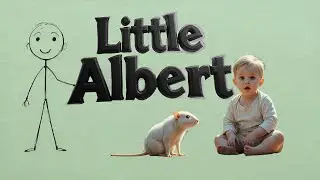 &ldquo;How Fear is Learned- The Little Albert Experiment