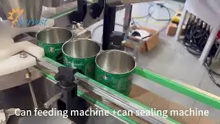 Can Feeding Machine for Weighing Filling Machine , Automatic Can Sealing Machine , Can Closer