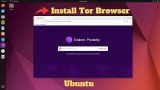 Как установить браузер TOR в Ubuntu