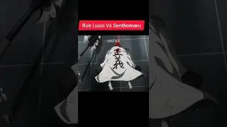 Sentomaru vs Rob Lucci | one piece