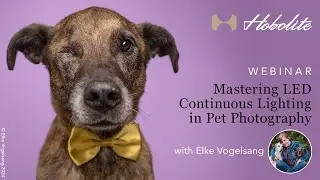 Mastering LED Continuous Lighting in Pet Photography | Webinar with Elke Vogelsang