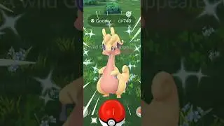 Getting Lucky With✨Shiny Goodra in #pokemongo