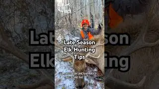 How weather effects elk in the late season🏔️ #elk #elkhunting #podcastclips