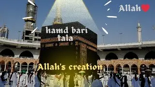 Signs of Allah in Nature | Beautiful Islamic Hamd | Allah ❤ | Natural video and Allah's creation