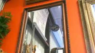 Designer Mirrors Sell-Off in Sarasota Florida at DecorDirect.net