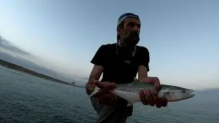 6 סוגי דגים על ג'יג. רק שחרורים. many fish species jigging c&r