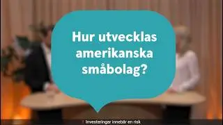 Hur utvecklas amerikanska småbolag?
