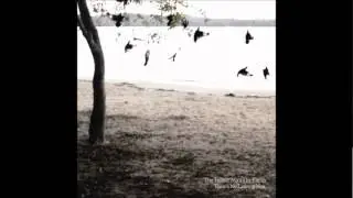 The Tallest Man On Earth - There's No Leaving Now