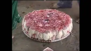 Gunyou cholo video 