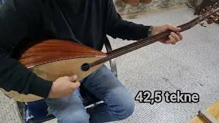 capraz d&uuml;zen,ditar d&uuml;zen, (arix)