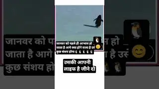 पेंगुइन चालबाज दुनिया से बोर हो गया होगा