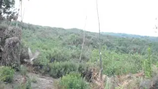ATMACA YAKALAMA