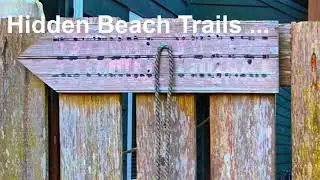 Netarts, OR: Hidden Beach Trails