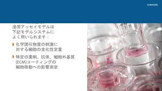 Corning Transwell&reg; パーミアブルサポートを用いた細胞の遊走と浸潤