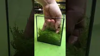 Making a rainbow box