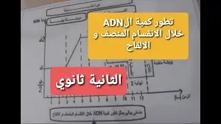 2 ثانوي / تطور كمية ال ADN خلال الانقسام المنصف و الالقاح