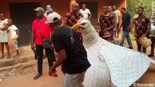 IGBO MASQUERADES: EKWENSU