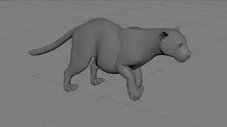 Tiger Run Cycle (Pers)