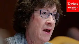 Susan Collins Calls On Senate Democrats To Support Continuing Resolution Passed By The House
