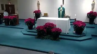 The Third Sunday in Ordinary Time - January 25, 2026 - 9:30 am Mass - Transfiguration of the Lord Pa