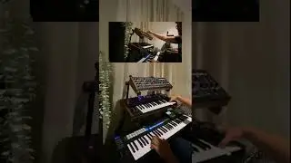 Black Hole Jam - Waldorf Pulse 2, Sequential Prohpet 5 Desktop, Dave Smith Mono Evolver Keyboard