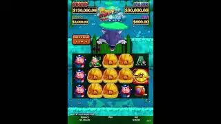 Crazy Huff n Puff back to back bonus jackpots #jackpot #slotmachinewins #huffnevenmorepuff