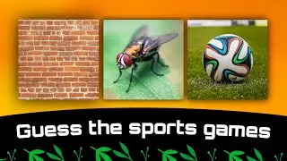 Guess the sports games | Common man