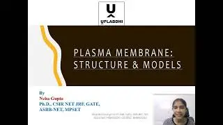 Plasma Membrane and its Model | Easy Notes | BSc | M.Sc | Graduates | Masters