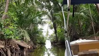 Gatun Lake Panama (Canal de Panama)