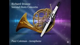 Richard Strauss 2nd Horn Concerto   Performed by Paul Coleman on the Roland Aerophone
