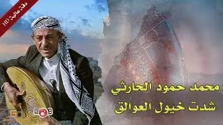 شدت خيول العوالق - محمد حمود الحارثي