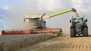 Harvest 2025 - Combining Wheat with Claas Lexion 7700 and Fendt 933, Fendt 618 and John Deere