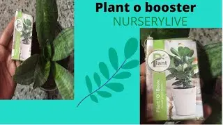 How to use plant o boost को कैसे इस्तेमाल करे Plant o boost use karne ka tarika fertilizer for plant