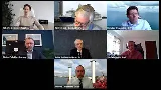 Capital Link Decarbonization in Shipping Forum 2021 - Energy Efficient Technologies - Fleet