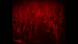 M&ouml;mi - Arachnida